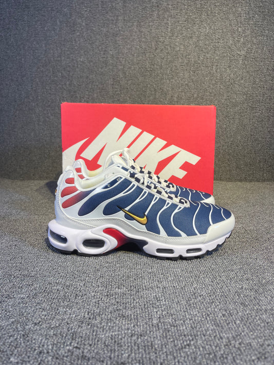 Nike Air Max TN